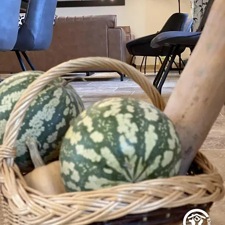 De L'ecluse * Caux-et-Sauzens