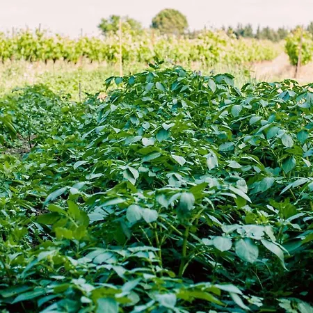 Hébergement de vacances De L'ecluse *