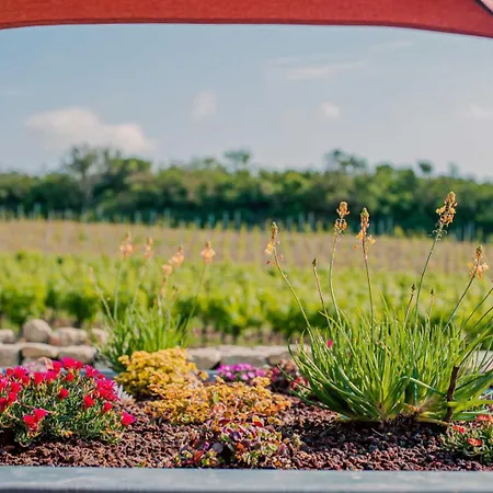 Casa de Férias De L'ecluse *