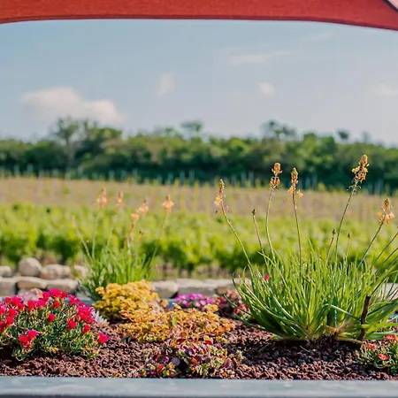 De L'ecluse * Caux-et-Sauzens