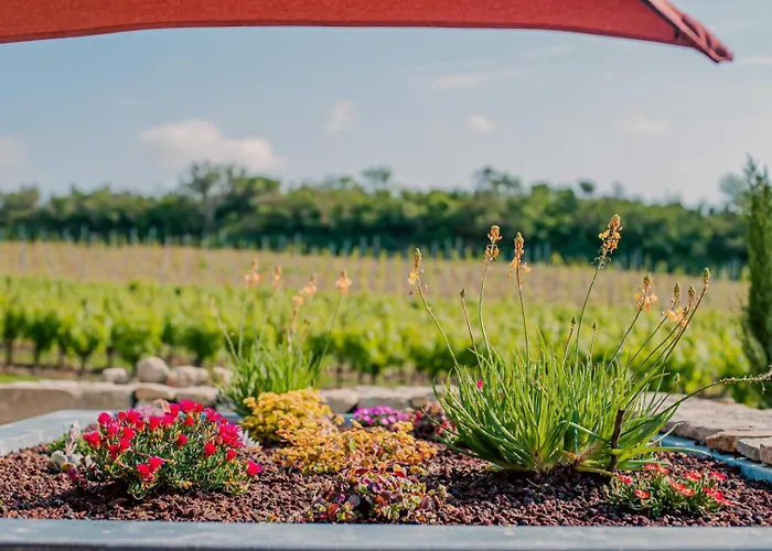 Feriehus De L'ecluse *