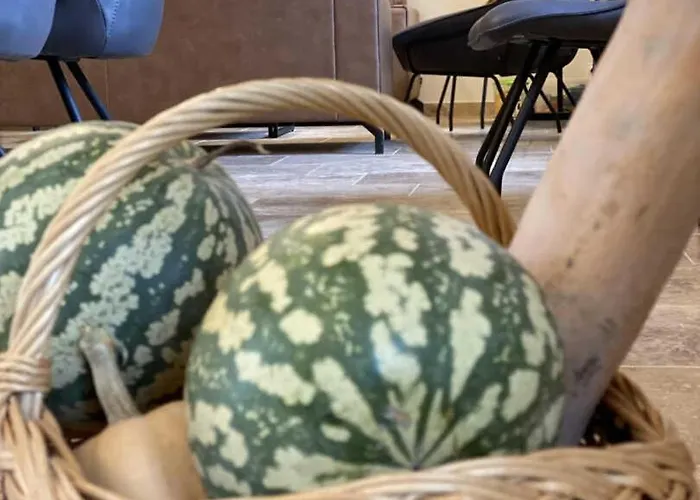 De L'ecluse Caux-et-Sauzens